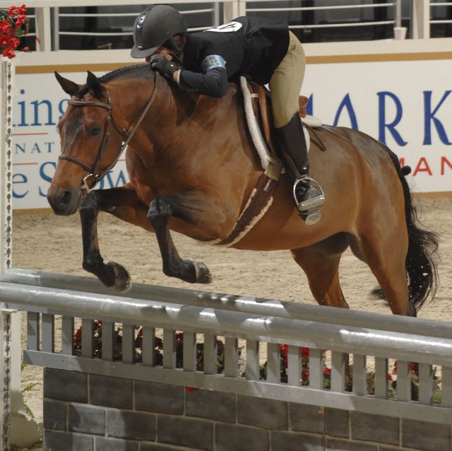 143-TaylorSiebel-Picasso-WIHS-10-29-06-&copy;DeRosaPhoto.JPG