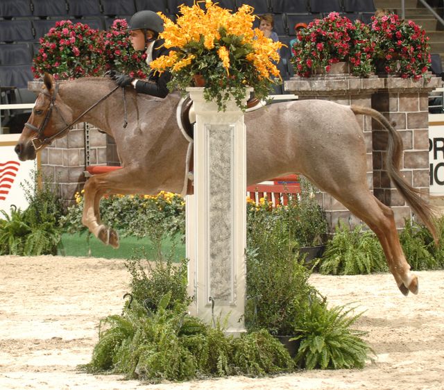 307-HollyLabry-FrenchToast-WIHS-10-29-06-&copy;DeRosaPhoto.JPG