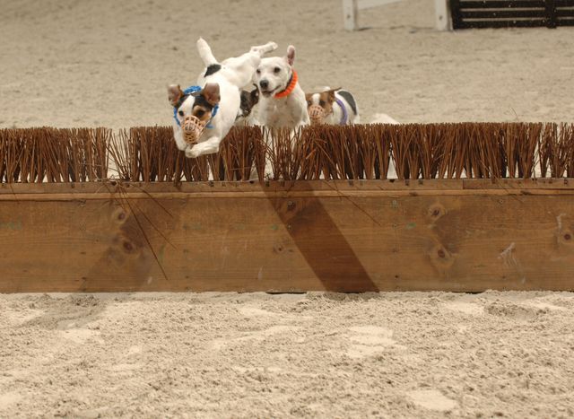 850-WIHS-10-26-06-&copy;DeRosaPhoto.JPG