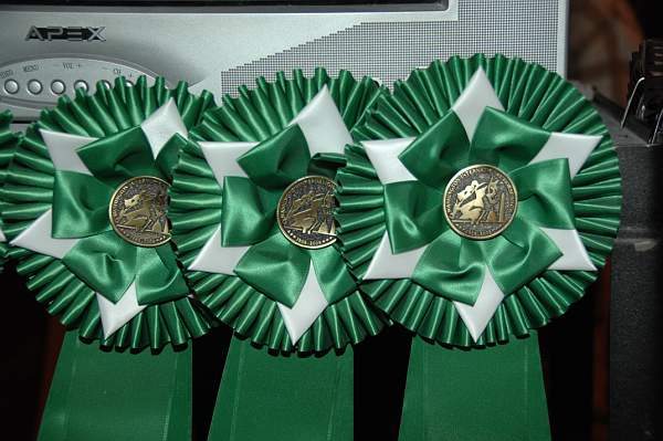 WIHS08-12-25-Awards-003-DDeRosaPhoto