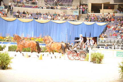 10-24-08-WIHS-728-DeRosaPhoto.jpg