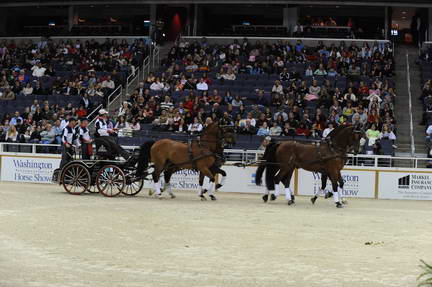 10-24-08-WIHS-739-DeRosaPhoto.jpg