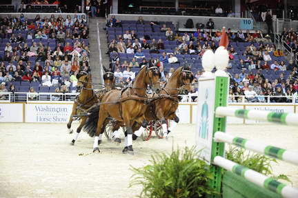 10-24-08-WIHS-749-DeRosaPhoto.jpg