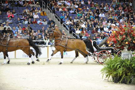 10-24-08-WIHS-751-DeRosaPhoto.jpg