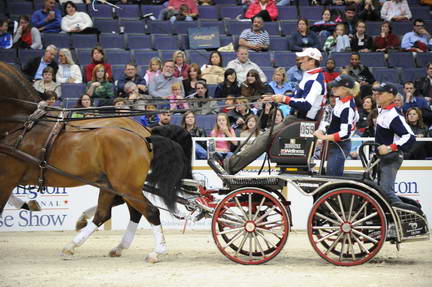 10-24-08-WIHS-752-DeRosaPhoto.jpg