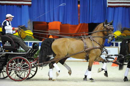 10-24-08-WIHS-755-DeRosaPhoto.jpg