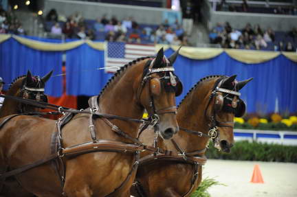 10-24-08-WIHS-759-DeRosaPhoto.jpg