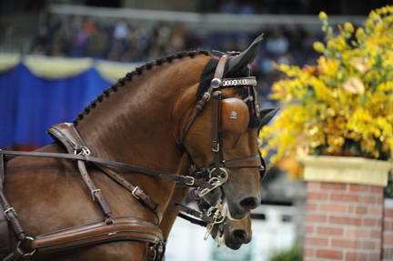 10-24-08-WIHS-760-DeRosaPhoto.jpg