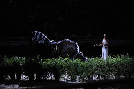 10-24-08-WIHS-925-DeRosaPhoto.jpg