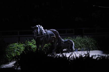 10-24-08-WIHS-946-DeRosaPhoto.jpg