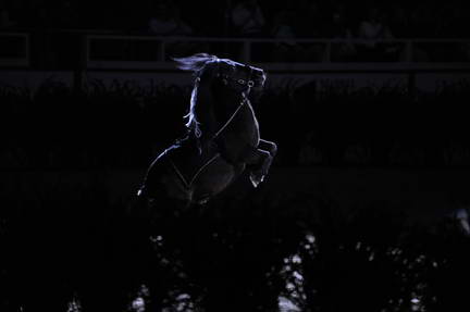 10-24-08-WIHS-994-DeRosaPhoto.jpg