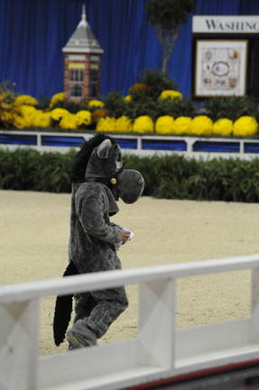 10-24-08-WIHS-1027-DeRosaPhoto.jpg