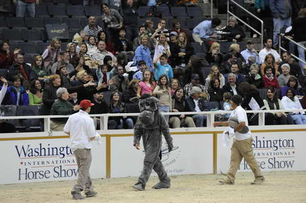 10-24-08-WIHS-1036-DeRosaPhoto.jpg