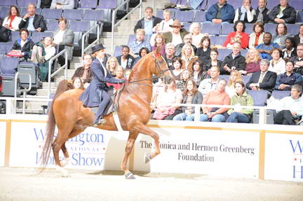 10-24-08-WIHS-519-DeRosaPhoto.jpg