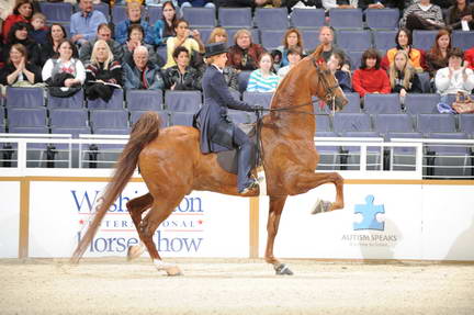 10-24-08-WIHS-523-DeRosaPhoto.jpg