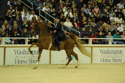 10-24-08-WIHS-532-DeRosaPhoto.jpg