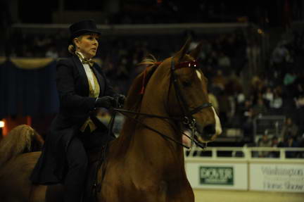 10-24-08-WIHS-536-DeRosaPhoto.jpg