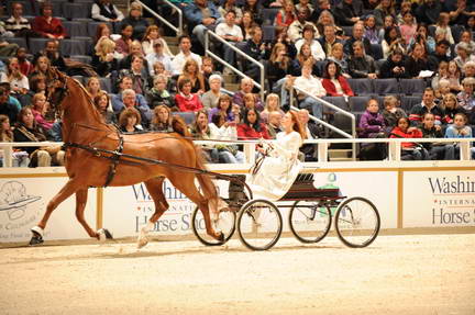 10-24-08-WIHS-550-DeRosaPhoto.jpg