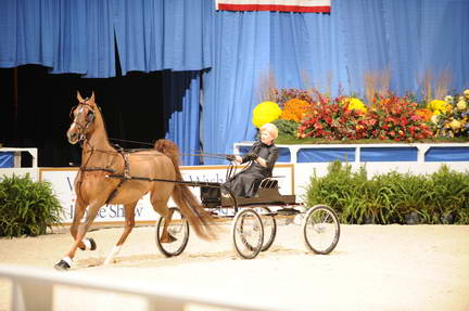 10-24-08-WIHS-556-DeRosaPhoto.jpg