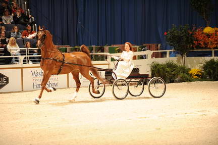 10-24-08-WIHS-557-DeRosaPhoto.jpg