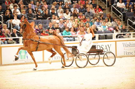 10-24-08-WIHS-563-DeRosaPhoto.jpg