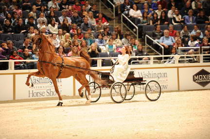 10-24-08-WIHS-568-DeRosaPhoto.jpg