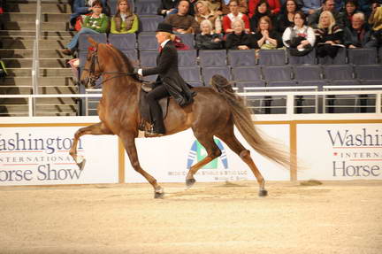 10-24-08-WIHS-580-DeRosaPhoto.jpg