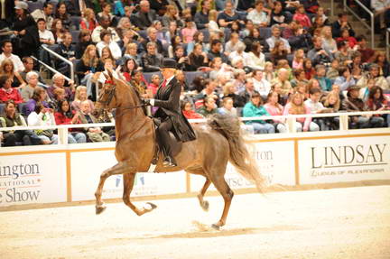 10-24-08-WIHS-587-DeRosaPhoto.jpg