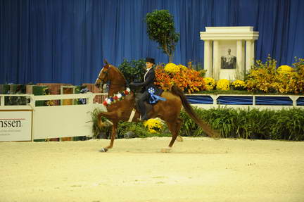 10-24-08-WIHS-594-DeRosaPhoto.jpg