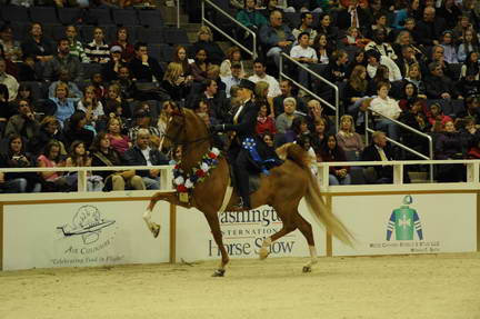 10-24-08-WIHS-596-DeRosaPhoto.jpg