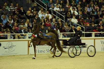 10-24-08-WIHS-603-DeRosaPhoto.jpg