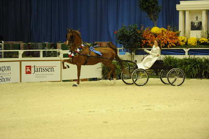 10-24-08-WIHS-604-DeRosaPhoto.jpg