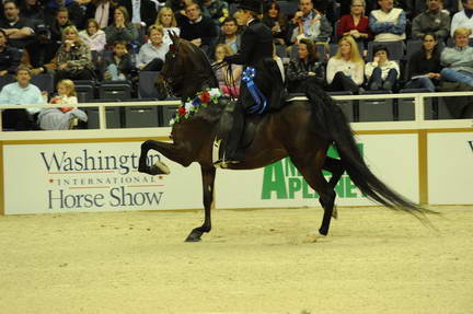 10-24-08-WIHS-614-DeRosaPhoto.jpg