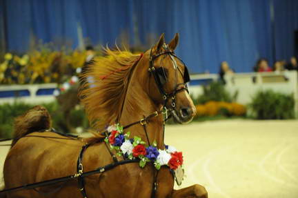 10-24-08-WIHS-622-DeRosaPhoto.jpg