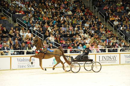 10-24-08-WIHS-624-DeRosaPhoto.jpg