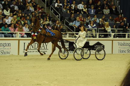 10-24-08-WIHS-628-DeRosaPhoto.jpg