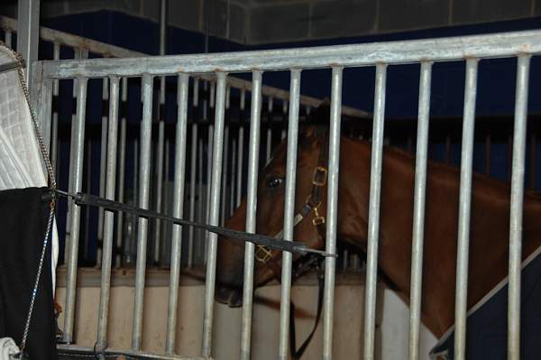 WIHS08-10-25-Setup-129-DDeRosaPhoto