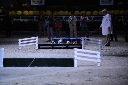 10-24-08-WIHS-1079-DeRosaPhoto.jpg