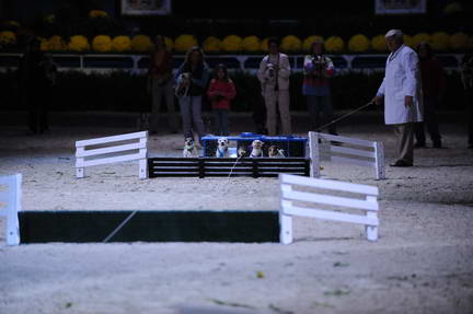 10-24-08-WIHS-1080-DeRosaPhoto.jpg