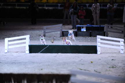 10-24-08-WIHS-1086-DeRosaPhoto.jpg