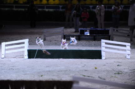 10-24-08-WIHS-1087-DeRosaPhoto.jpg