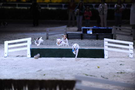 10-24-08-WIHS-1088-DeRosaPhoto.jpg