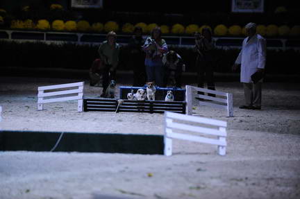 10-24-08-WIHS-1091-DeRosaPhoto.jpg