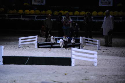 10-24-08-WIHS-1092-DeRosaPhoto.jpg