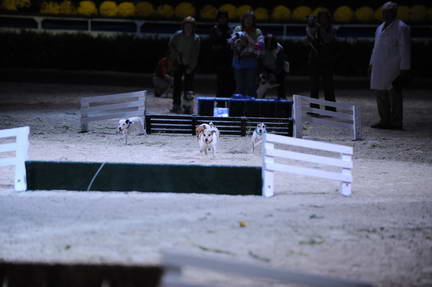 10-24-08-WIHS-1095-DeRosaPhoto.jpg