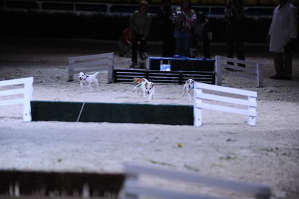 10-24-08-WIHS-1096-DeRosaPhoto.jpg