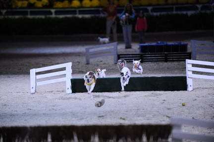 10-24-08-WIHS-1105-DeRosaPhoto.jpg