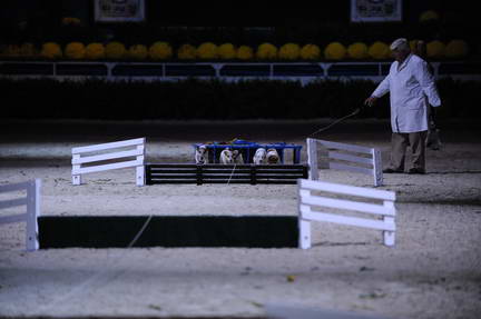 10-24-08-WIHS-1106-DeRosaPhoto.jpg