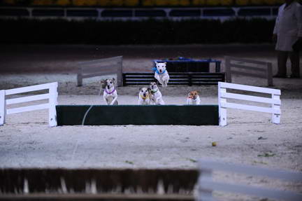 10-24-08-WIHS-1111-DeRosaPhoto.jpg