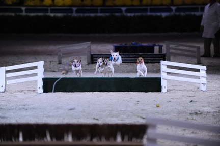 10-24-08-WIHS-1112-DeRosaPhoto.jpg